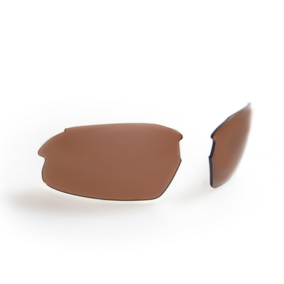 Gidgee Sunglasses Cleancut