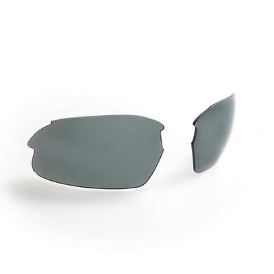 Gidgee Sunglasses Cleancut