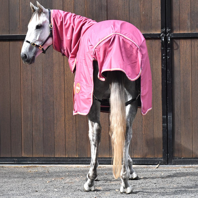 Kozy Horse Rug Combo 600D Winter 100g 6ft 3in/190cm