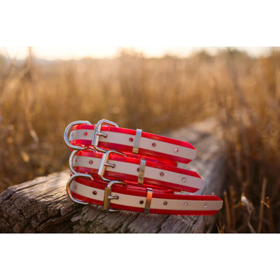 Dog Collar Reflect BIO Small 25mmW 55cmL Clermont Kelpies