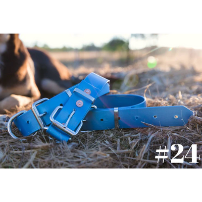 Dog Collar PVC LGE 32mmW 55cmL Clermont Kelpies