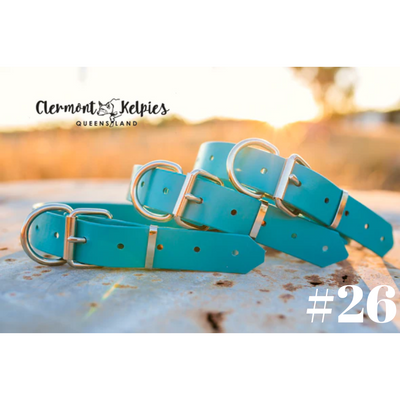 Dog Collar PVC LGE 32mmW 55cmL Clermont Kelpies