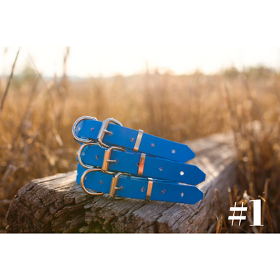 Dog Collar PVC Small 25mmW 55cmL Clermont Kelpies