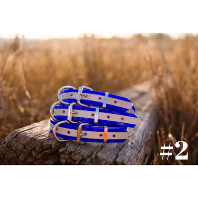 Dog Collar Reflect BIO Small 25mmW 55cmL Clermont Kelpies