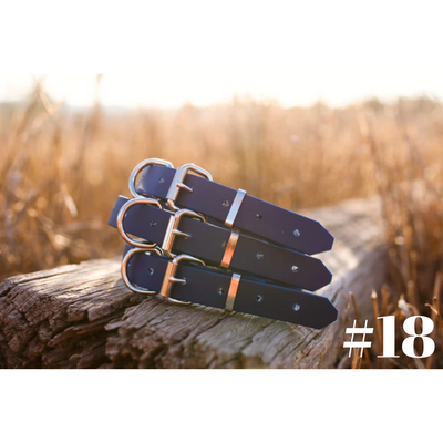 Dog Collar PVC Small 25mmW 55cmL Clermont Kelpies