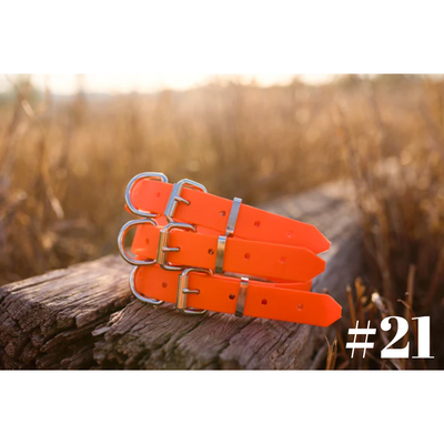 Dog Collar PVC Small 25mmW 55cmL Clermont Kelpies