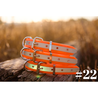 Dog Collar Reflect BIO Small 25mmW 55cmL Clermont Kelpies