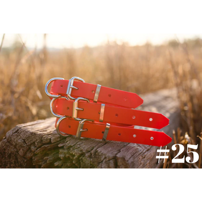 Dog Collar PVC Small 25mmW 55cmL Clermont Kelpies