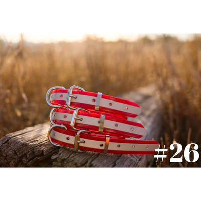 Dog Collar PVC Small 25mmW 55cmL Clermont Kelpies