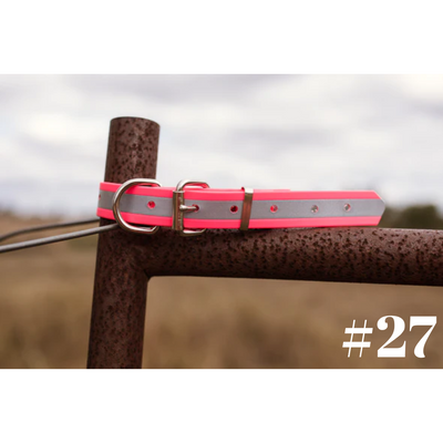 Dog Collar PVC Small 25mmW 55cmL Clermont Kelpies