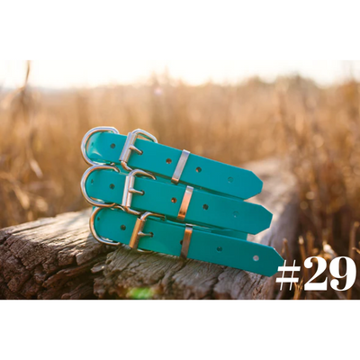 Dog Collar PVC Small 25mmW 55cmL Clermont Kelpies