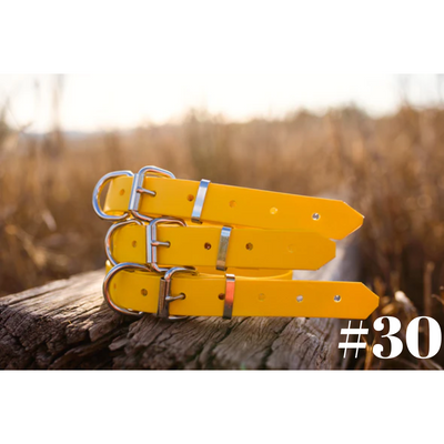 Dog Collar PVC Small 25mmW 55cmL Clermont Kelpies