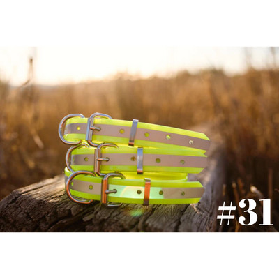 Dog Collar Reflect BIO Small 25mmW 55cmL Clermont Kelpies