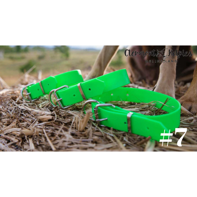 Dog Collar PVC LGE 32mmW 55cmL Clermont Kelpies