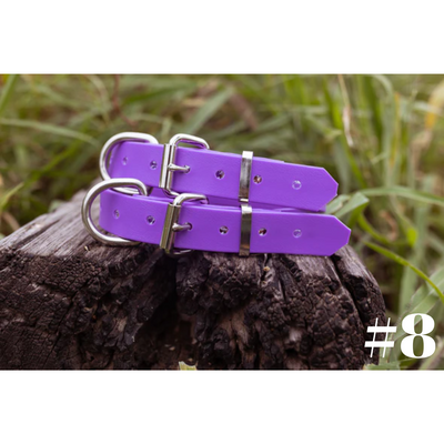 Dog Collar PVC Small 25mmW 55cmL Clermont Kelpies