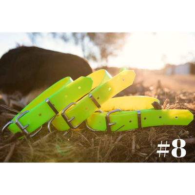 Dog Collar PVC LGE 32mmW 55cmL Clermont Kelpies