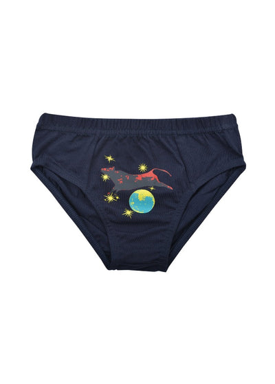 Thomas Cook Boys Undies 3 Pack