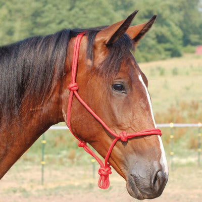 Halter Horsemanship Rope Cob/Pony