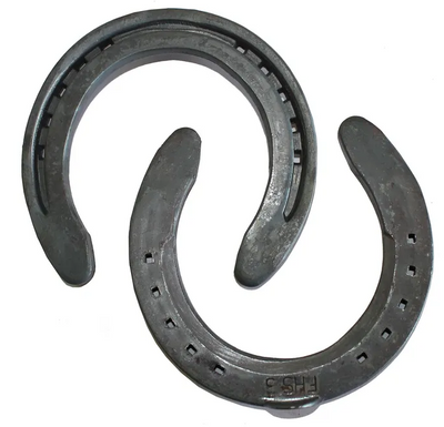 Horse Shoe ODwyer Size 5 Flat Hack