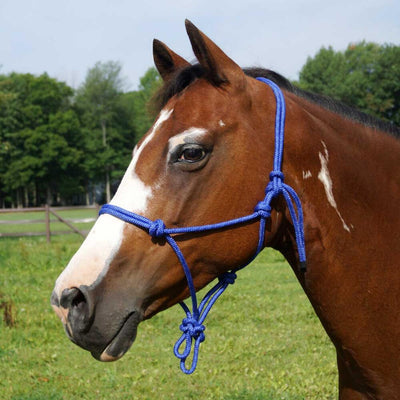 Halter Horsemanship Rope Cob/Pony
