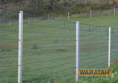 Steel Post Waratah 5ft 6in Galstar Extreme