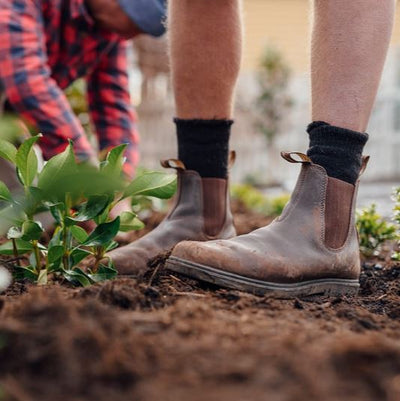 Blundstone Mens 659 Dress Boot
