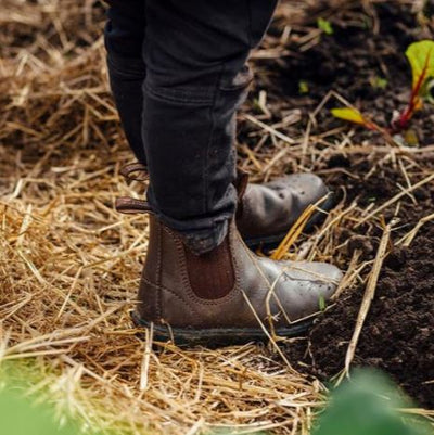 Blundstone Kids 630 Work Boot