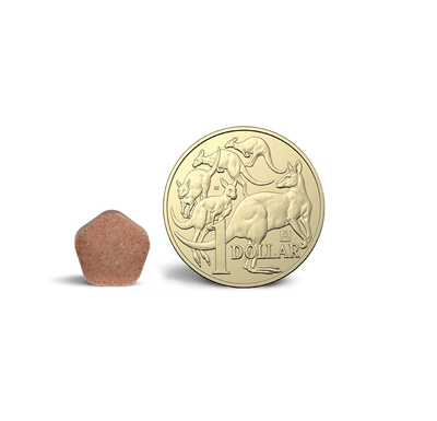 Simparica Trio 2.6-5kg Purple 3Pk