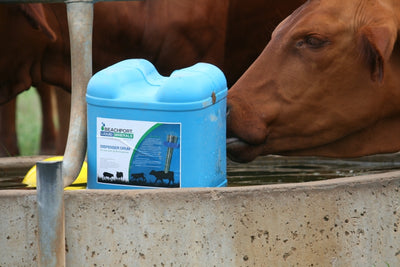 Beachport White Cap Phosphorus 20L