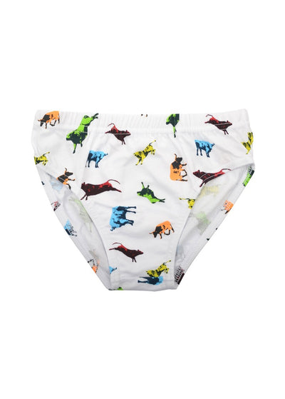 Thomas Cook Boys Undies 3 Pack