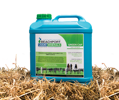 Beachport Green Cap Low Stress 20L