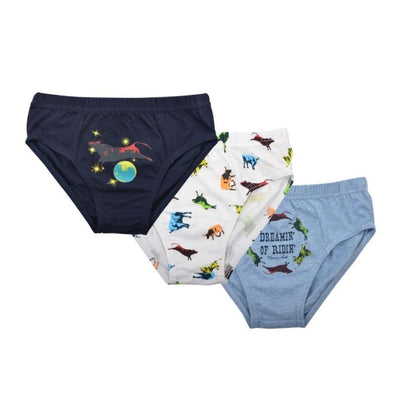 Thomas Cook Boys Undies 3 Pack