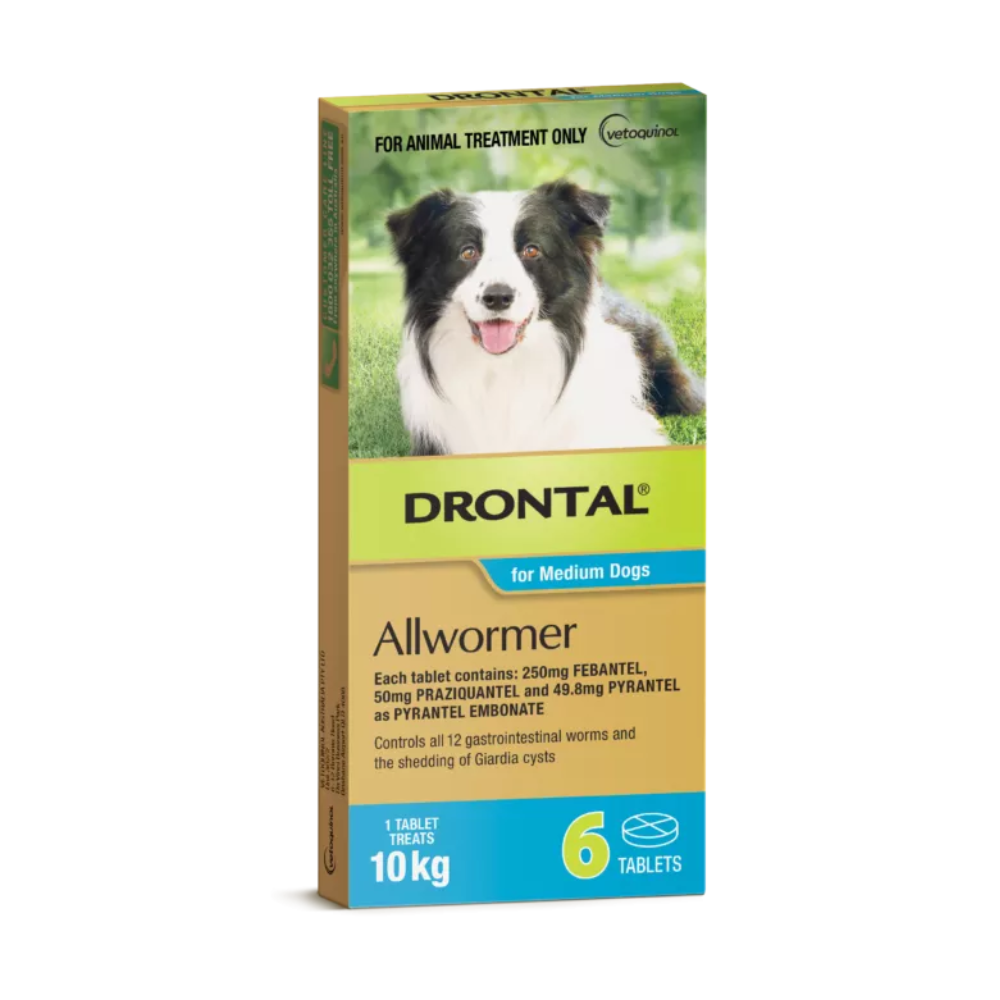 Drontal Tablets Med Dog 6 Pack