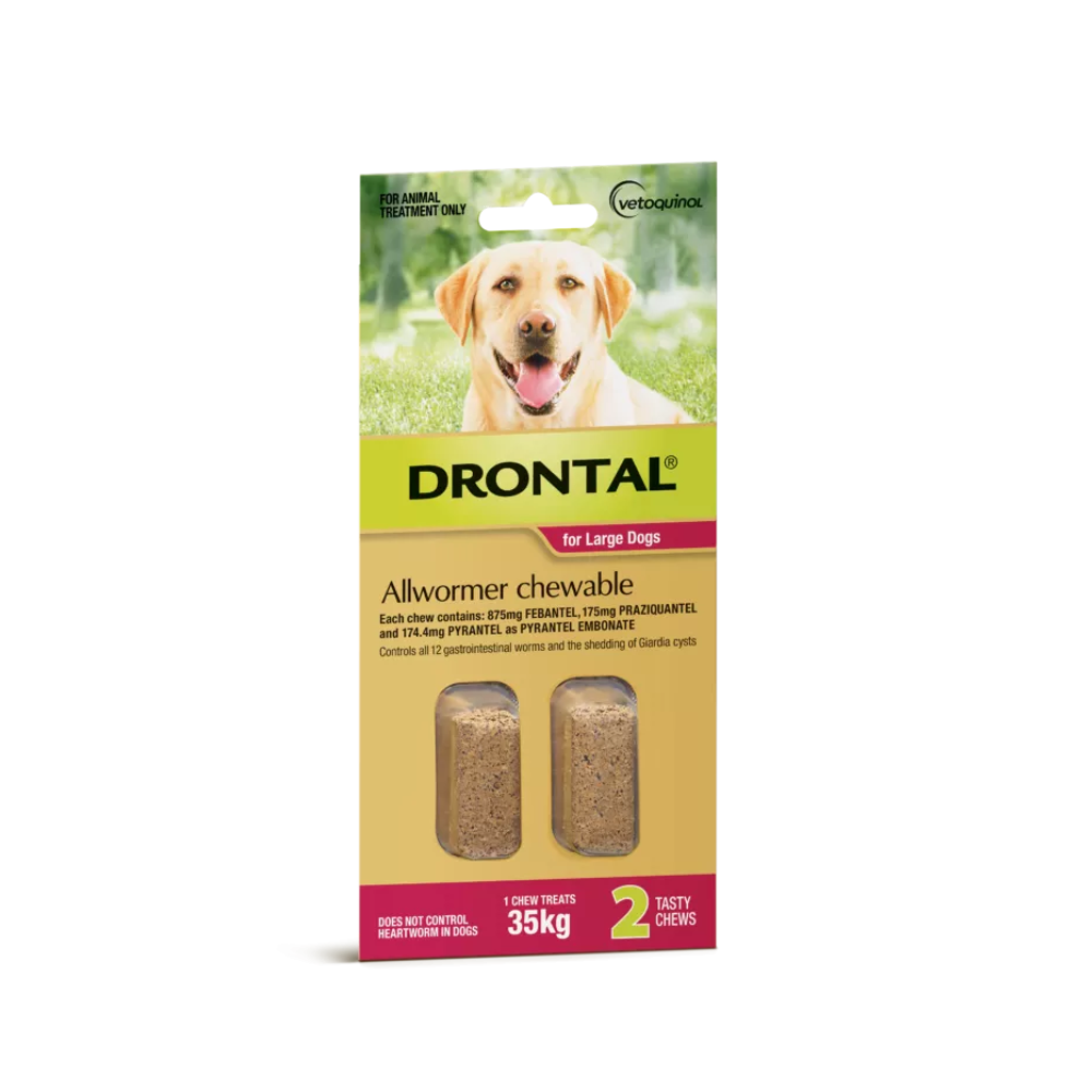 Drontal Chew Large Dog 2 Pack