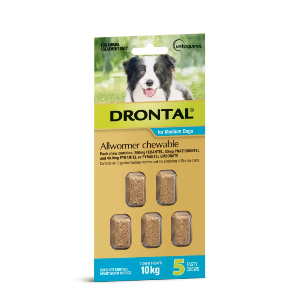 Drontal Chew Med Dog 5pk