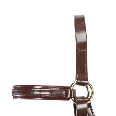 Horse Master Bridle Barcoo 3/4 in