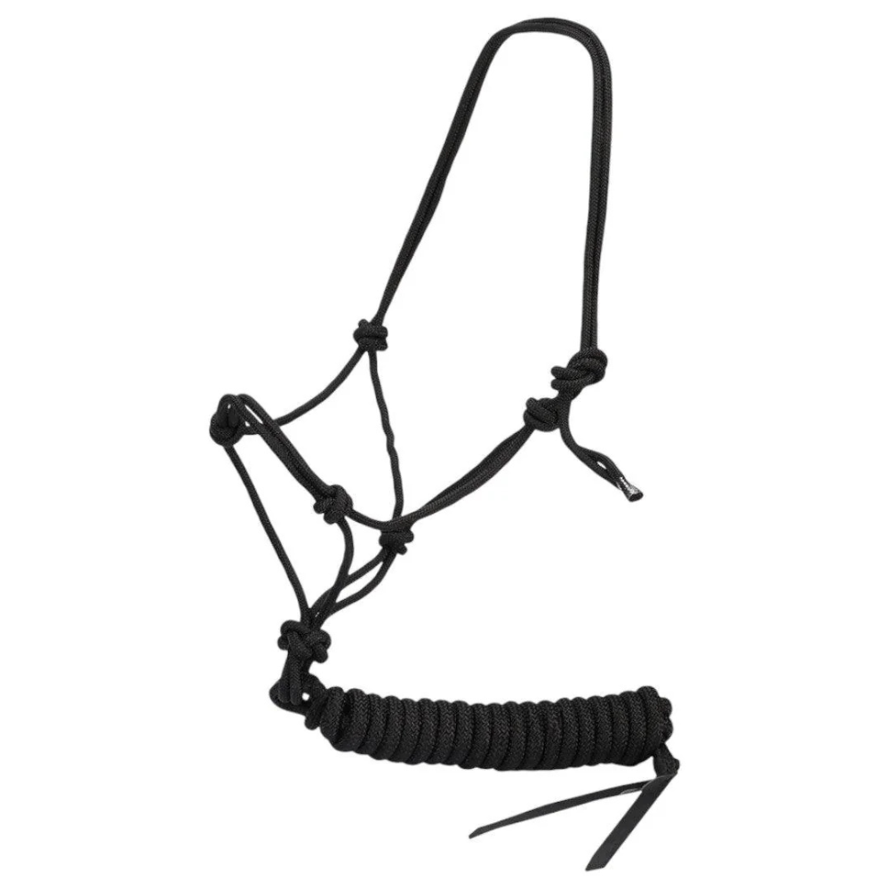 Horse Master Training Halter and Lead Set 15ft Lead