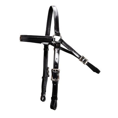 Horse Sense Barcoo Bridle Head NP Fittings