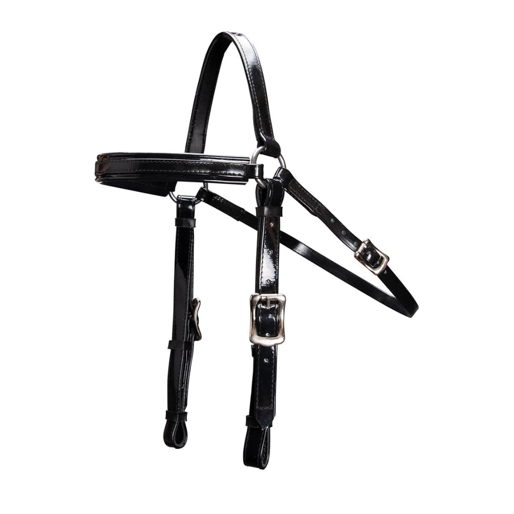 Horse Sense Barcoo Bridle Head NP Fittings