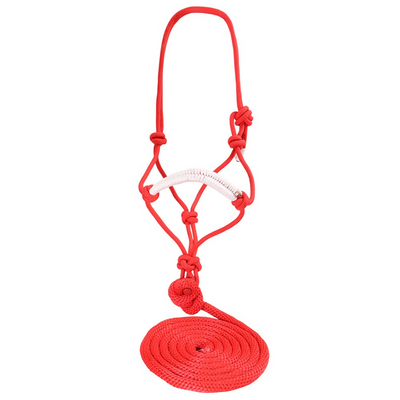 Knotted Rope Halter and Lead