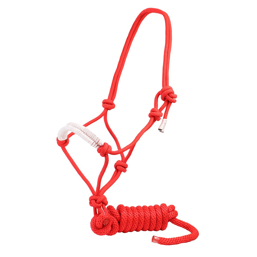 Knotted Rope Halter and Lead