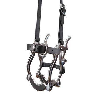 Speculum Mouth Gag Cast SS