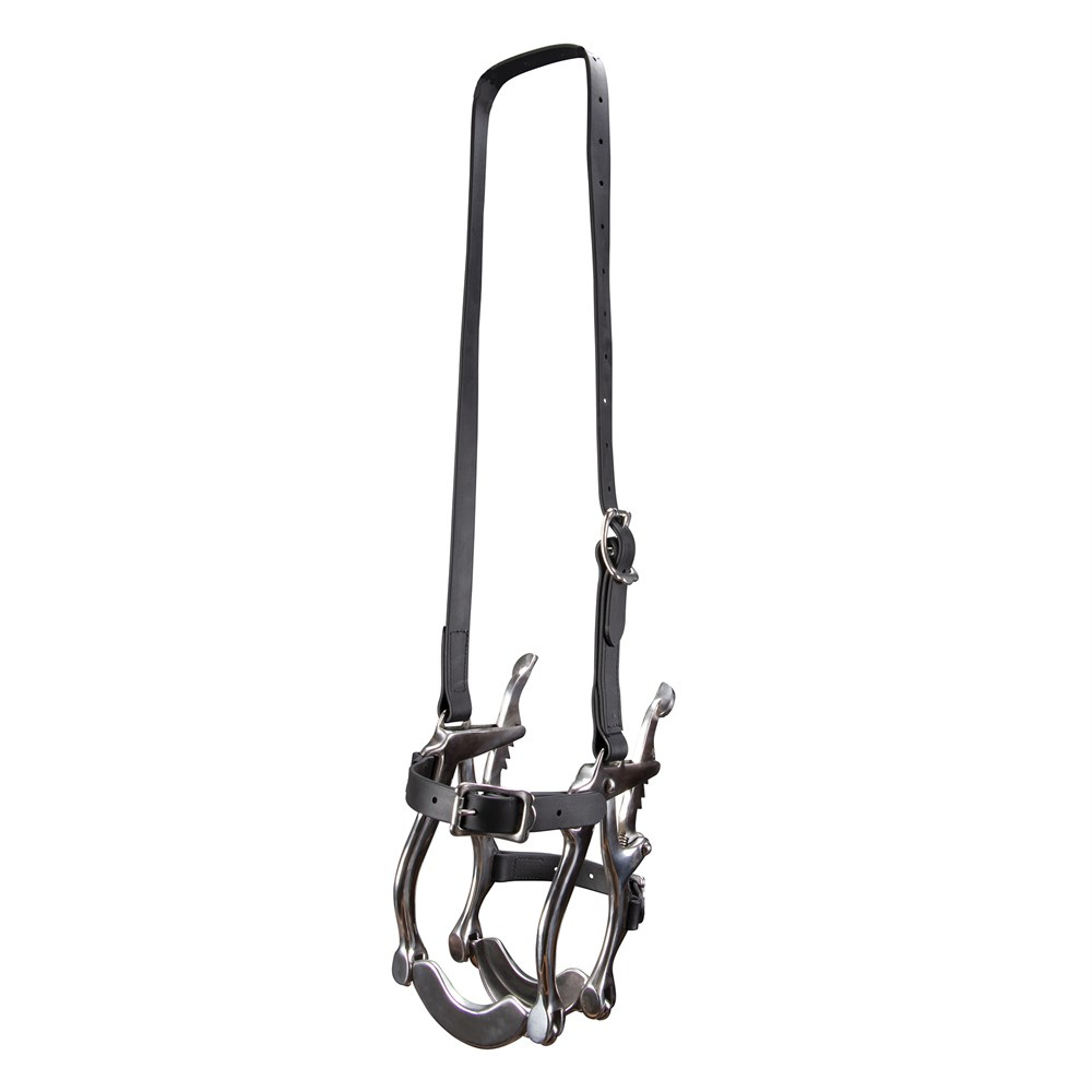 Speculum Mouth Gag Cast SS