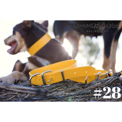 Dog Collar Large 32mm Clermont Kelpies