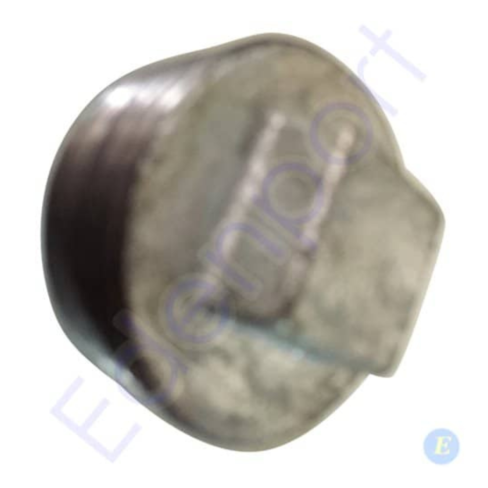 Gal Plug