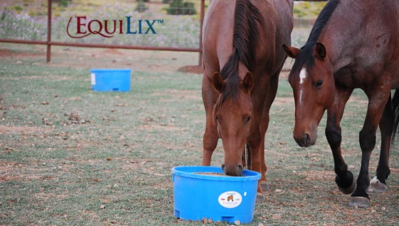 SweetPro EquiLix 50 Hi Calcium 23kg