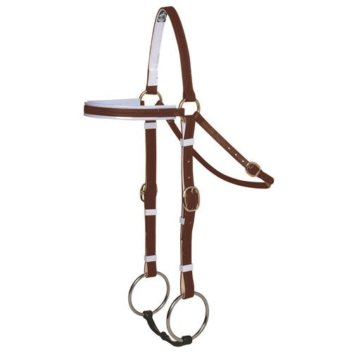 Bridle Barcoo Brass COB