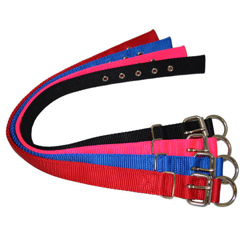 Dog Collar Webbed Drover