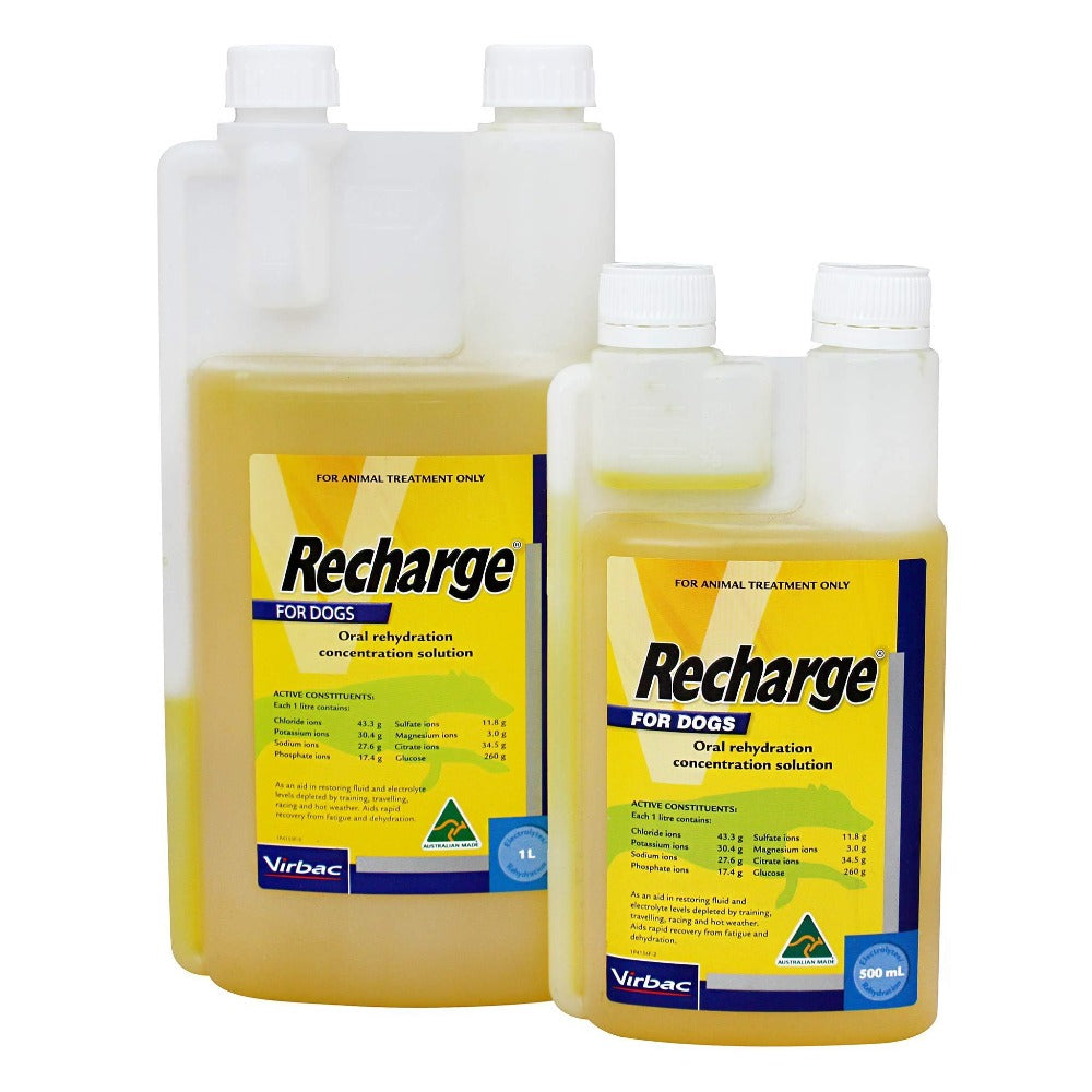Virbac Recharge for Dogs 500ml