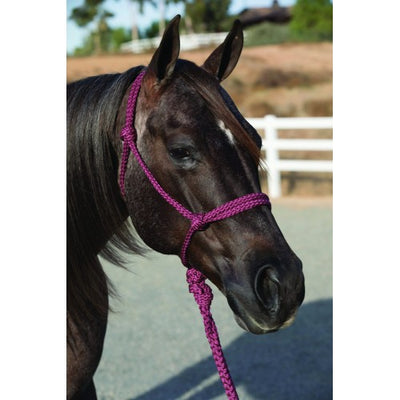Professionals Choice Rope Halter w/ 10ft Lead